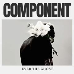 Component LP