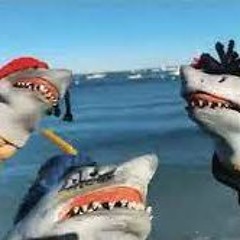 Shark Puppet - Buckets Ft. Suigeneris & DC The Don (Official Music Video)