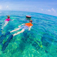 Best Key West Snorkeling With Breakfast And Unlimited Mimosas Prices Reviews