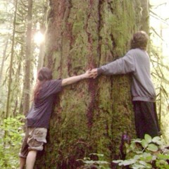 song i made up on my guitar 😋