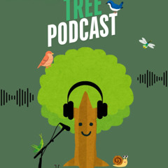 Tree Podcast - Episode 1
