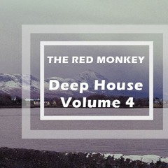 Red Monkey - Deep Melodic House 4