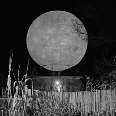 Shadows in the Glow (Radio Edit)