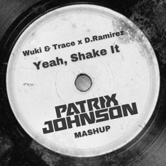 Wuki & Trace x D.Ramirez (Patrix Johnson Mashup) FREE DOWNLOAD!