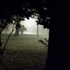 Searching
