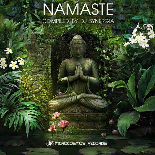 Blue Lotus Feat. Sasha Niyazova - Moon Road