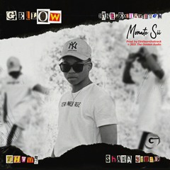 MONATE SII (feat.Dintleonthetrack, Shaba Stele)