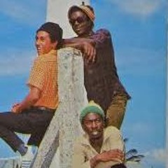 Bob Marley & The Wailers -Soul Shake Up Party Dub