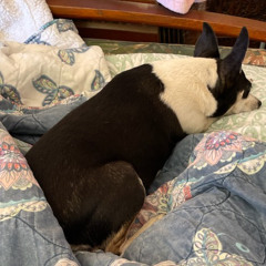 5 changes for a creep weirdo