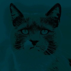 Portrait of a Blue Monday