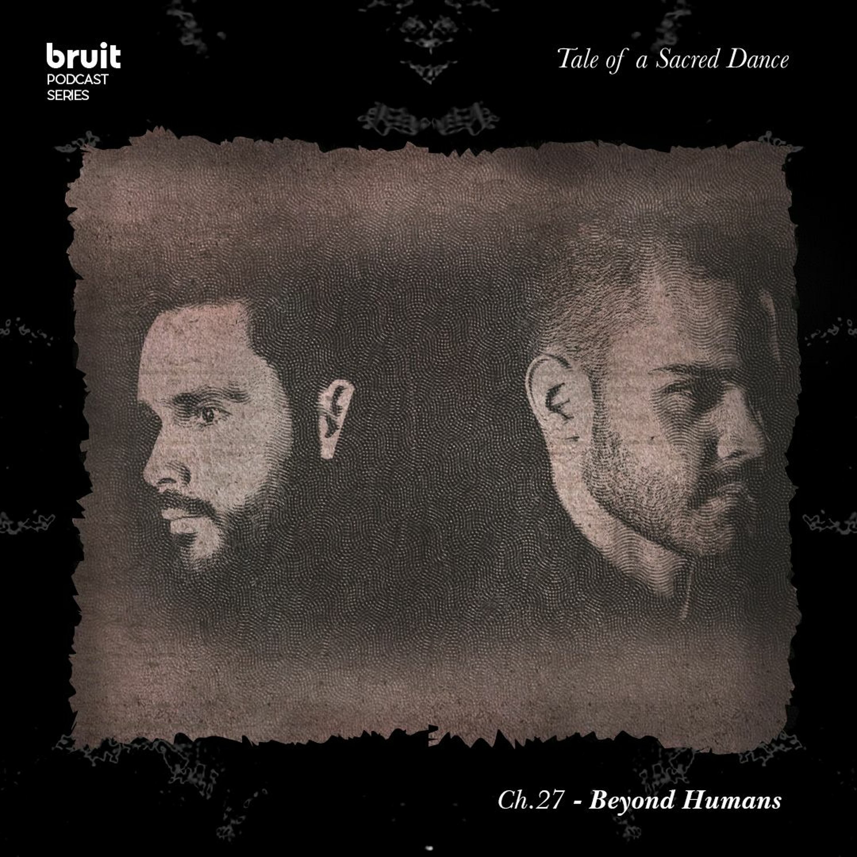 bruit