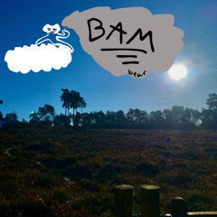 BAM (feat. Night One:)