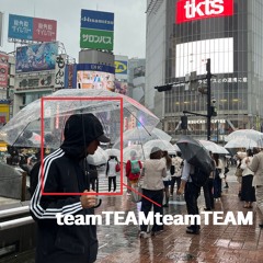 TEAM