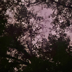 SOPHIE type beat (R.I.P SOPHIE XEON 🕊️)