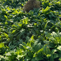 CHANGE Day 404 of 730 2