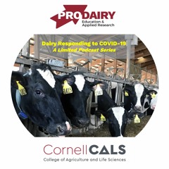 Dairy Responding to COVID-19