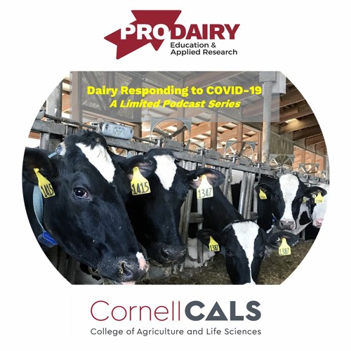 Episode 3: Dairy Farmer and Farm Consultant Perspectives [4/3/20]