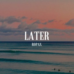 RoPax - Later