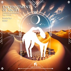 Tamer ElDerini, Kyak - Enchantment Of Night (BEBO Remix) [Cafe De Anatolia]