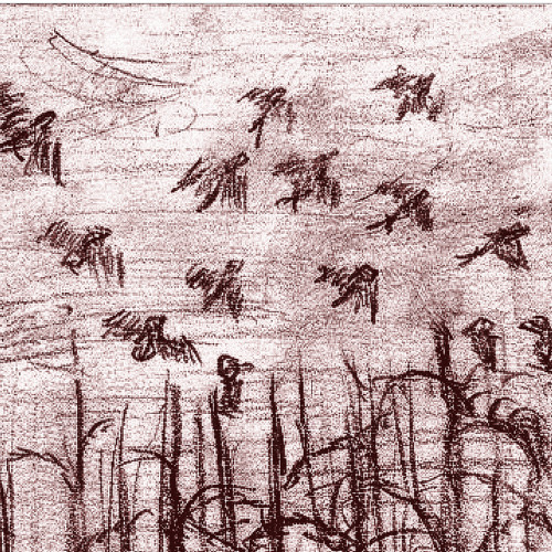clay birds - untitled demo 1