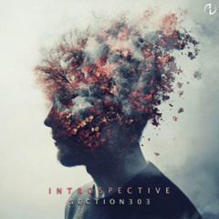 Section303 - Introspective (Original Mix) [Preview]