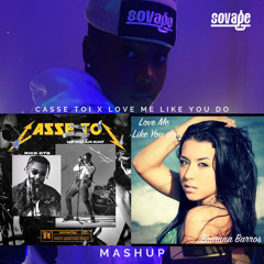 DJ Sovage Ft. Brianna Barros & Rico OTB - Love Me Like You Do x Casse Toi Mashup .mp3