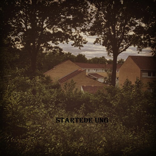 Buhl - Startede Ung