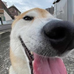 Phim Ba Người - Nguyễn Vĩ x BuiThanh Remix