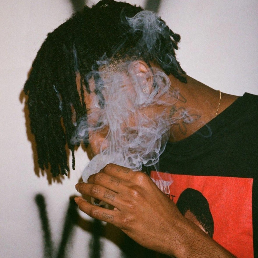 Stream colin.kr Listen to Playboi Carti - 24 Songs playlist online