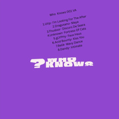 PREMIERE: Utip - I'm Looking For The After