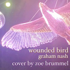 wounded bird - graham nash (cover by zoe brummel)