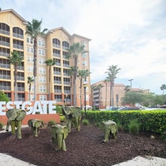 Coconut Mall