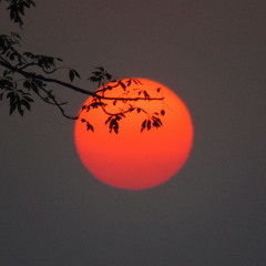 Golden Hour Afrobeats & Afro Fusion Mix | Diaspora Sessions Vol. 1 (R&B & Piano Blends)