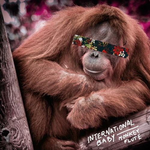 Stream Monkey Flute (Radio Edit) by International Baby | Listen online for  free on SoundCloud