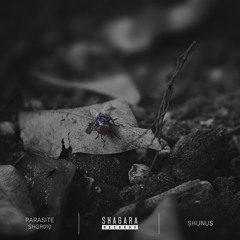 PREMIERE: Shunus - Far Away (Original Mix) [Shagara Records]