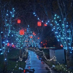 A very funky Friday 19th 2025