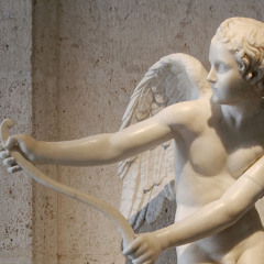 Cupid Is An Asshole