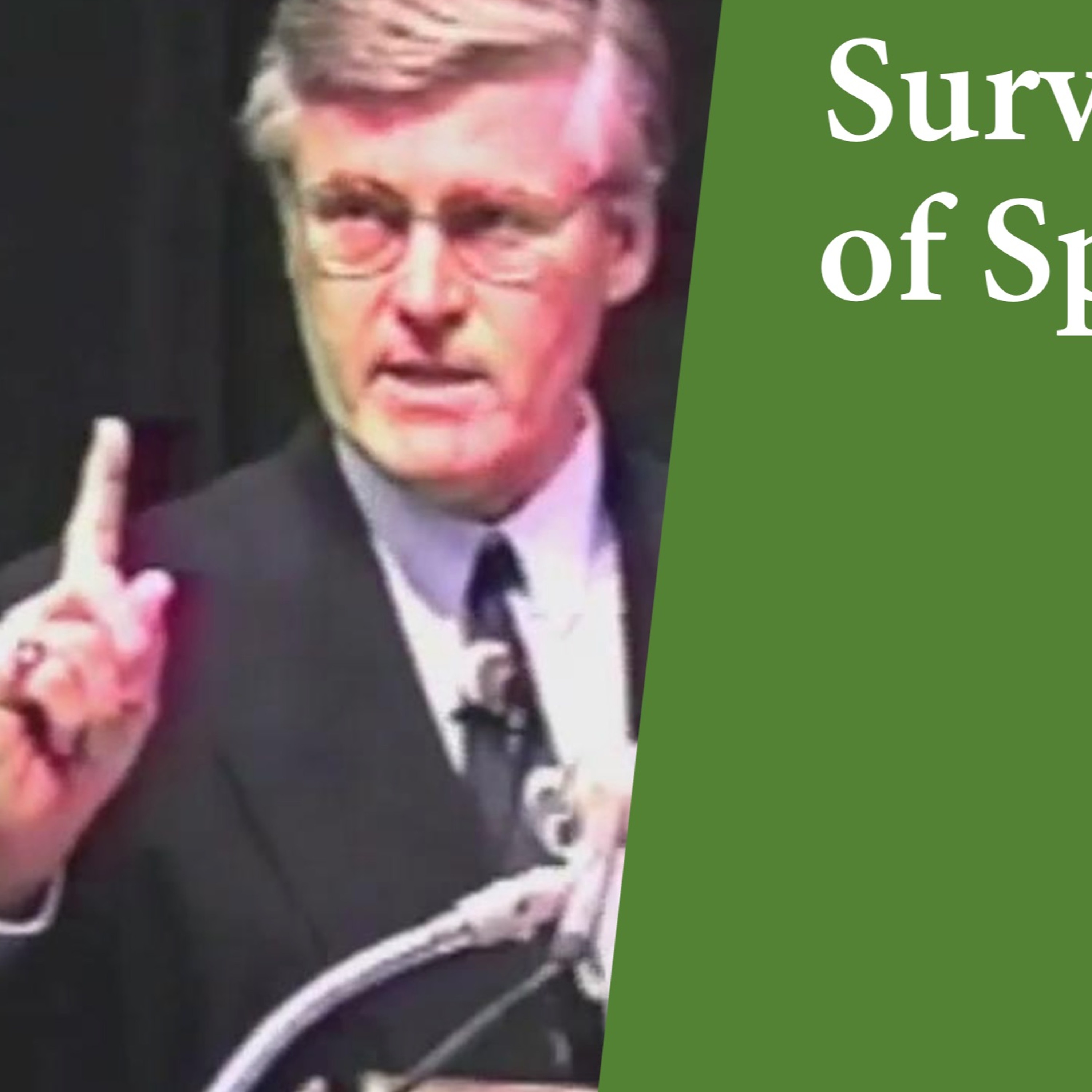 Surviving Spiritual Warfare Counseling by Ron Susek episode artwork