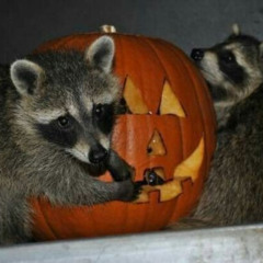 halloween thing w/ spoob