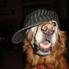 #improviso StandUpTrap