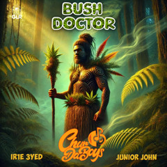 Bush Doctor (feat. IR1E 3YED & Junior John)