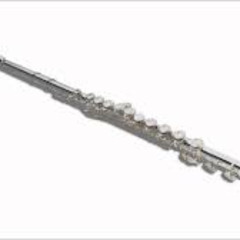 Desert Birdsong - for Alto Flute