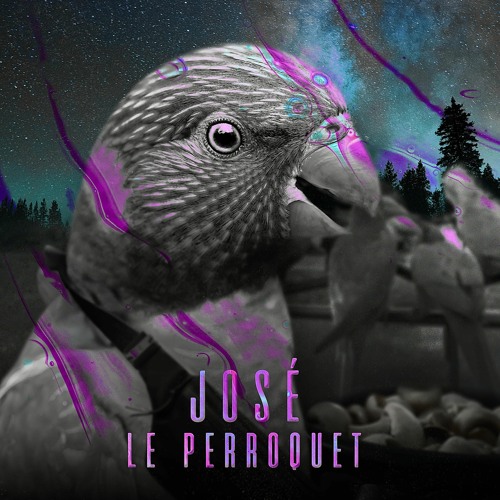 VIELUSOS - JOSÉ LE PERROQUET