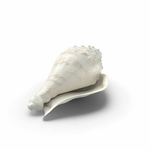 The Shell of Triton