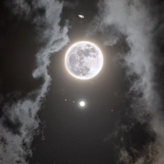 Moon 🌙