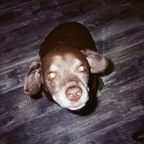 it's been a rough year, dad  - demo