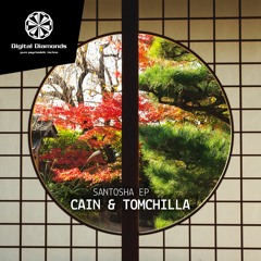CAIN & Tomchilla - Santosha [DigitalDiamonds086] | Free Download