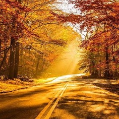 Royalty Free Music 가을바람  an Autumn Wind 행복한산들산들기분좋은