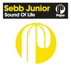 Sound Of Life (Original Mix)