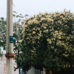 có chắc iu là đây - cover moon nga